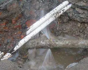 莲池水管维修费用是多少