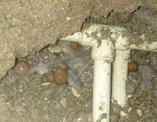 莲池卫生间测漏