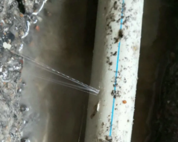 莲池卫生间测漏水多少钱
