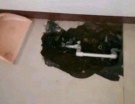 莲池卫生间测漏水多少钱
